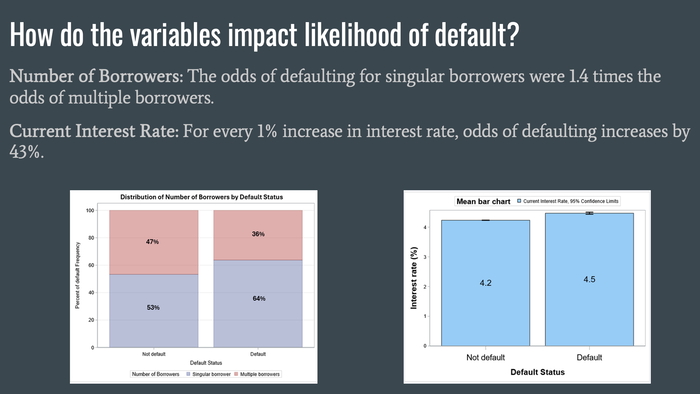 Poster image of student work on the Credit Risk project