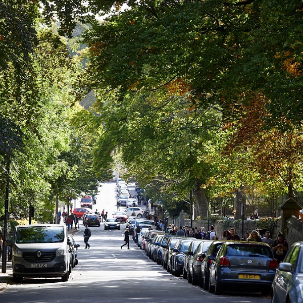 Image shows tree lined street, over looking parked cars