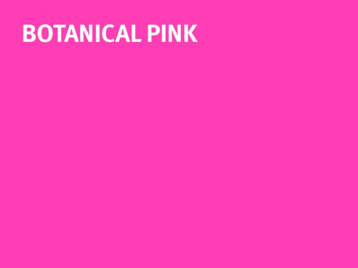 Sheffield Hallam University Botanical Pink colour