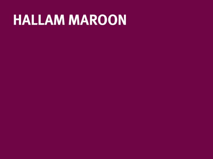 Sheffield Hallam University Hallam Maroon colour