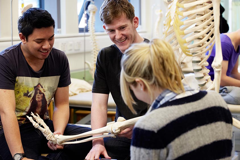 Students looking at model skeleton