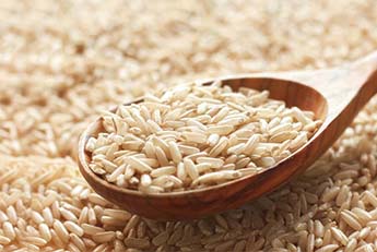 Rice milling for the future — transforming rice milling in India and creating value from waste