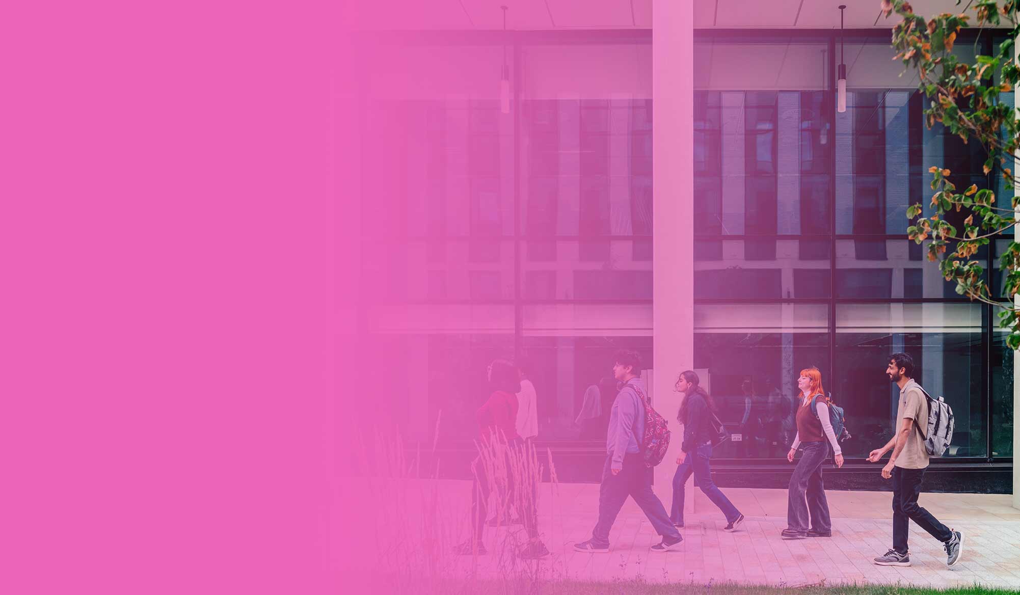 Marketing students walking outside the business school, against a pink gradient background