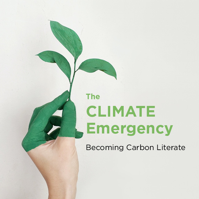 Climate Emergency virtual exchange project