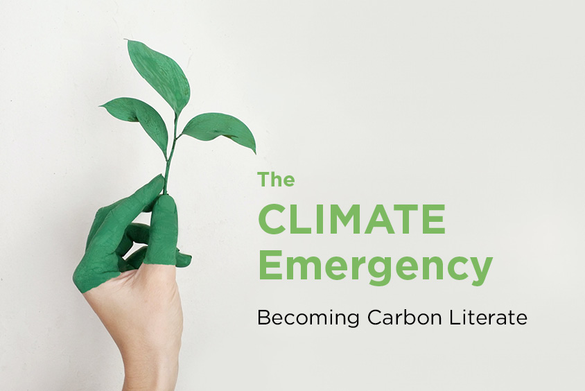 The Climate Emergency virtual exchange project