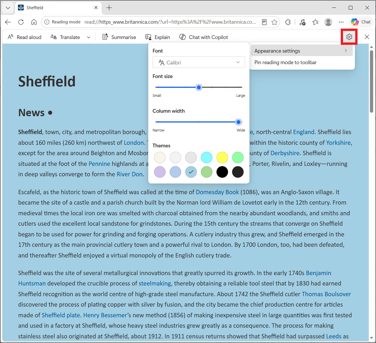 image showing the available settings in reading mode