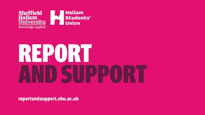 report and support graphic