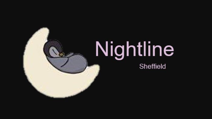 Nightline logo – a small penguin asleep on a half-moon