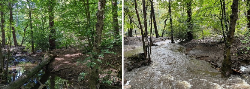 Photos taken by Sheffield's citizen scientists showing a 'leaky dam' structure at Limb Brook Valley in August 2022 (l) which aided in several flooding events, and again in October 2023 (r) after Storm Babet when the structure was overwhelmed and washed down stream. ©Sheffield and Rotherham Wildlife Trust.