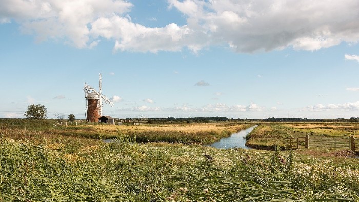 Marshland with a windmill in the distance.