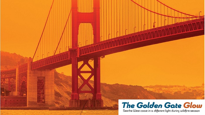 Image of Golden Gate bridge from Pete McKee climate change art installation