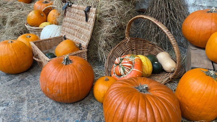 One in three people believe in ghosts: release of the first data from the National Folklore Survey for England