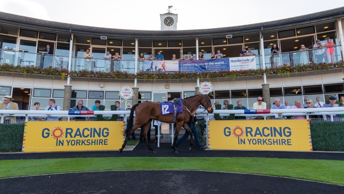 Horse racing’s £300m economic impact on Yorkshire
