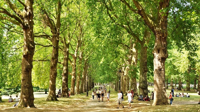 An image of people using an inner city park.