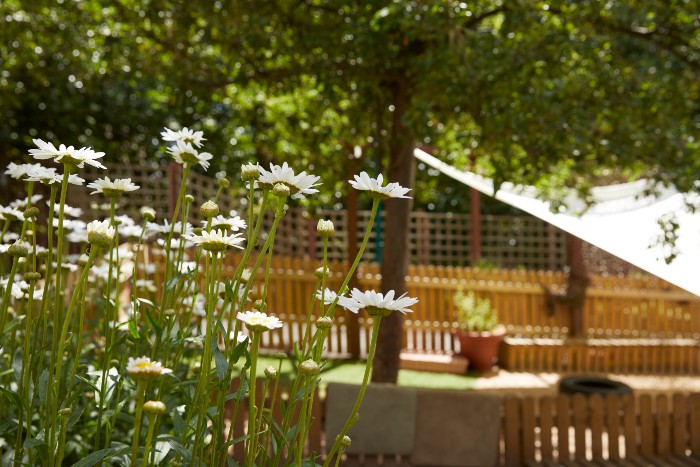 Nursery outdoor play space with a covered play area in the background surrounded by trees and daisies in the foreground
