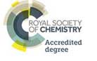 Royal Society of Chemistry (RSC)