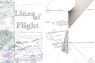 Lines of Flight Rachel Smith