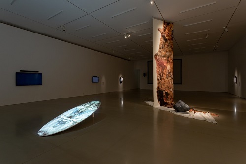 Aggregated Form, Large scale photograph on fabric, plaster cast, 2020 and Coalesce, Video Projection, 2021