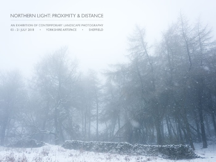 A promotional piece for Darcy White's Northern Light project. A forest of pine trees on a foggy, snowy day