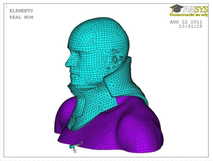 Digital rendering of the neck assessment tool