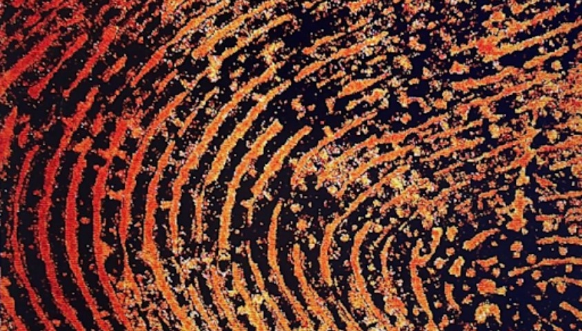 Image of a fingerprint