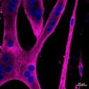 Health and disease research group