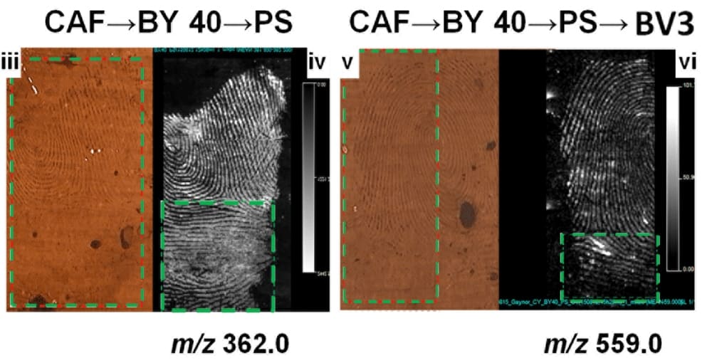 Image showing the application of MALDI MSI on a fingerprint