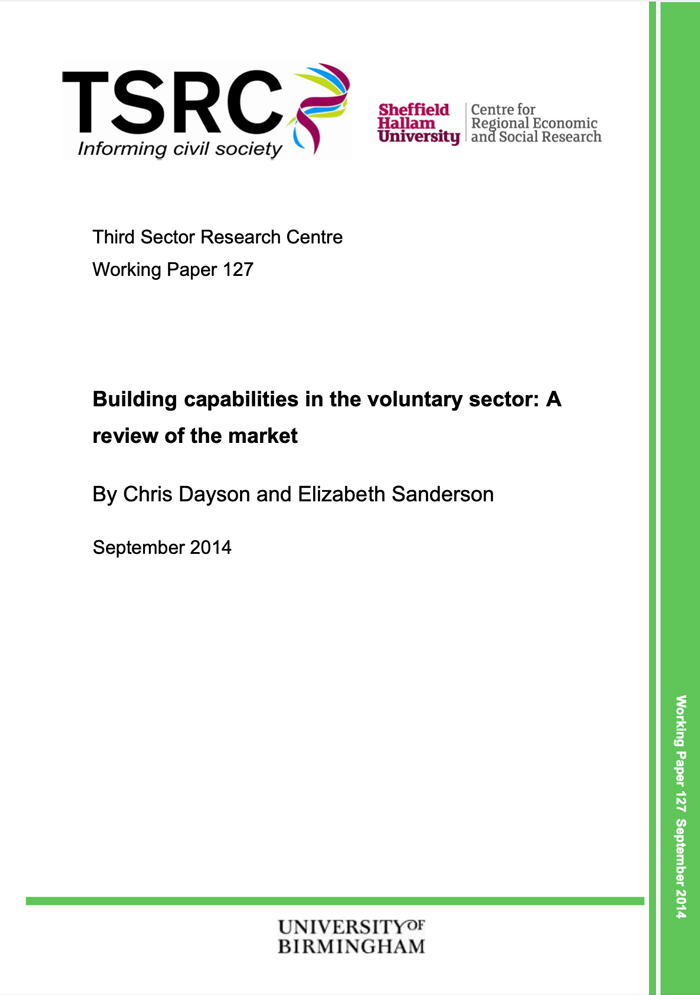 Building capabilities in the voluntary sector: A review of the market