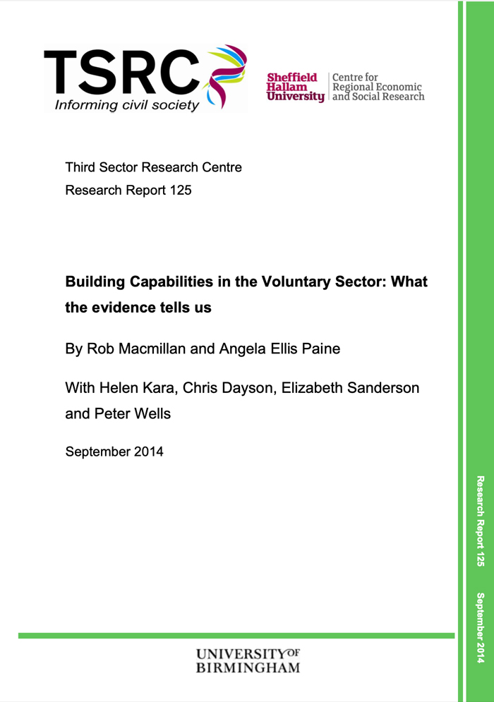 Building Capabilities in the Voluntary Sector: What the evidence tells us