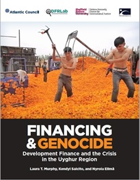 Financing & Genocide Report Cover