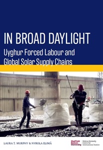 In Broad Daylight report cover page
