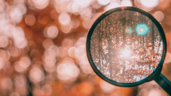 Magnifying glass with the distorted picture of a forest in the background