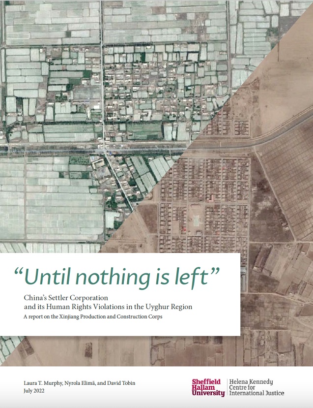 Until nothing is left report cover