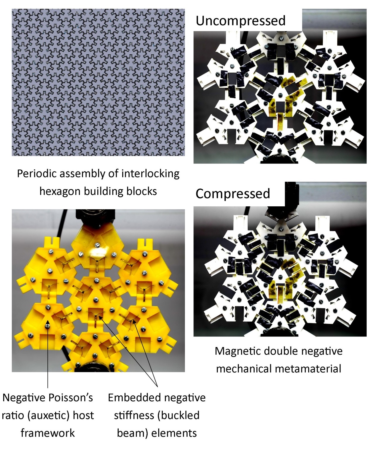 Auxetic interlocked hexagon assembly