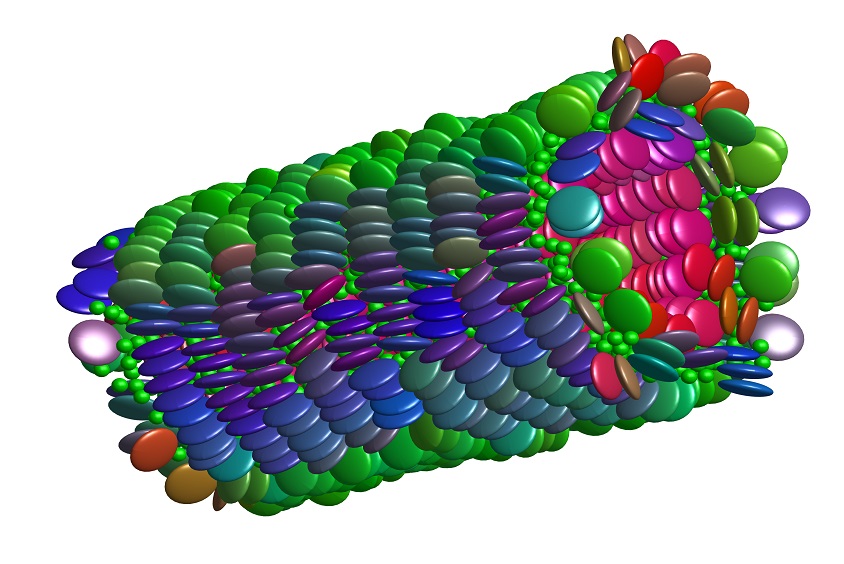 fluid flow modelling 