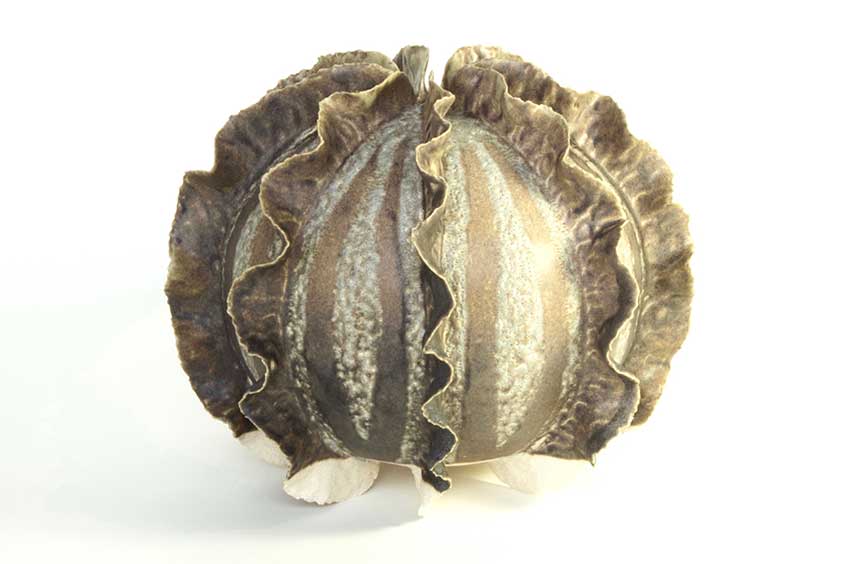 Glaze Testing for a Ceramic Artist