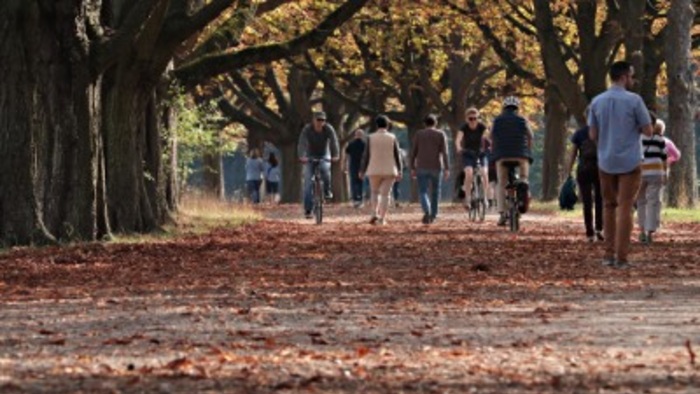 People walking and cycling through a park