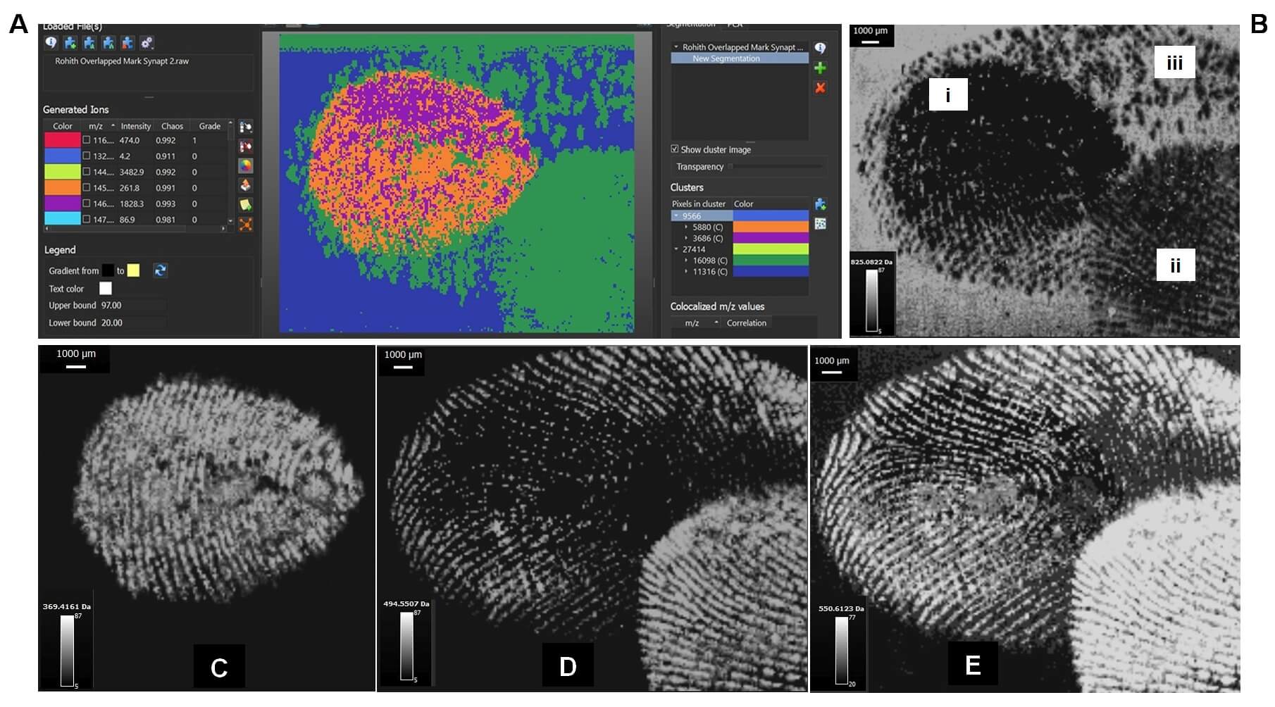 Finger print lab work
