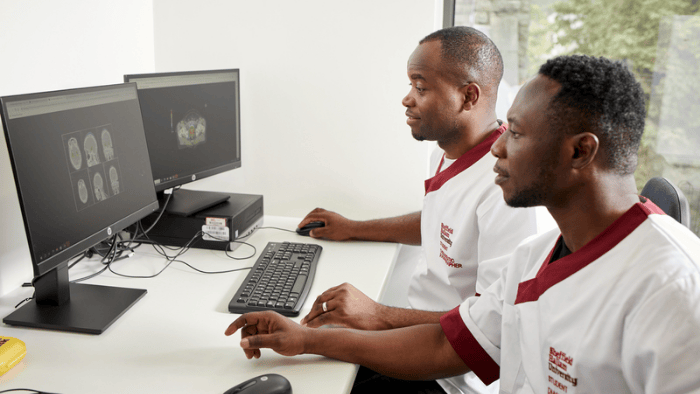 healthcare students analysing scans