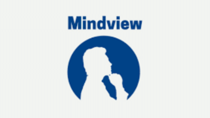 Mindview logo
