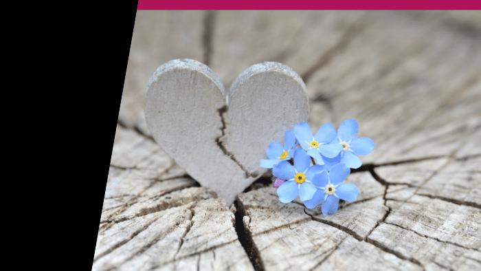 Image of a flower next to a broken wooden heart