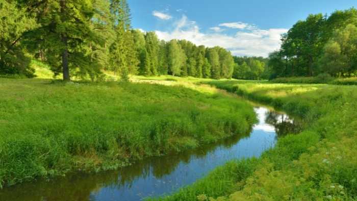 Summer image of fields, grass, trees and a river
