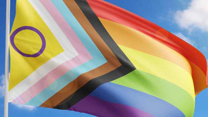 An image of the Progress Pride flag